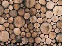 Das Baumhaus aus Baumstämmen : die Designarbeit des Niederländers Piet Hein Eek 